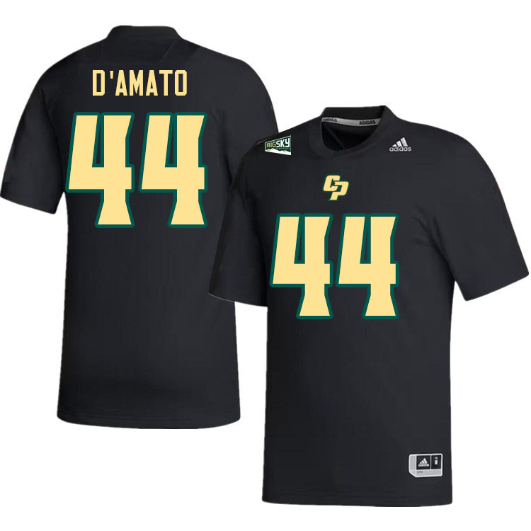 Cal Poly Mustangs #44 Mikey D'Amato College Football Jerseys,Uniforms Stitched-Black